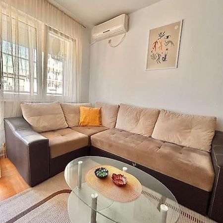 Cozy, Charming One Bedroom Apt Podgorica Extérieur photo